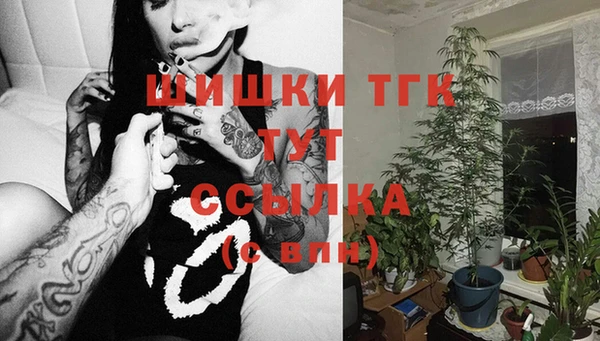 дживик Баксан