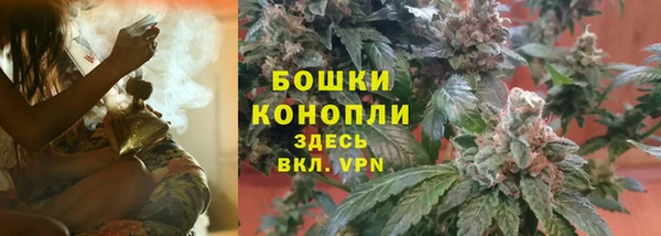 дживик Баксан