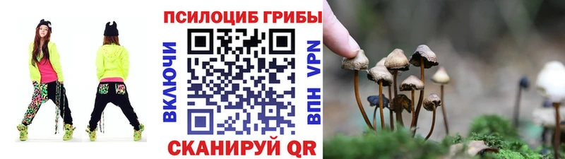 Псилоцибиновые грибы Cubensis  Геленджик 